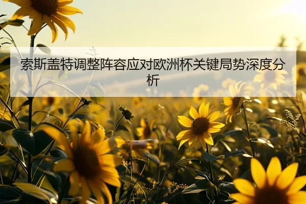 索斯盖特调整阵容应对欧洲杯关键局势深度分析