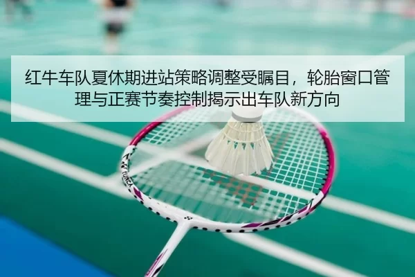红牛车队夏休期进站策略调整受瞩目，轮胎窗口管理与正赛节奏控制揭示出车队新方向